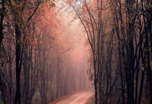 三亿体育体育官方登录入口-曼联对抗切尔西：胜负悬念下的精彩对决