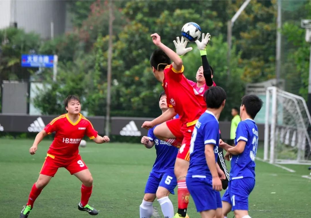 强强对话，激烈角逐备受瞩目的简单介绍